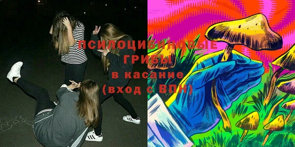 дурь Рославль