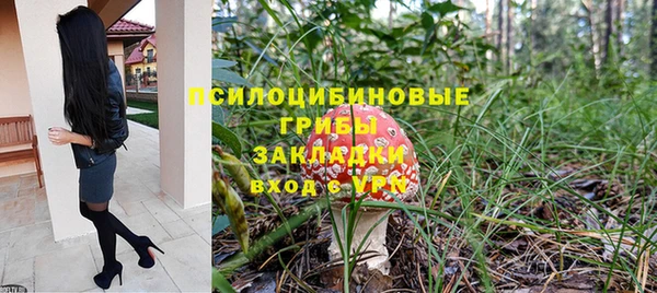 прущие крисы Алзамай