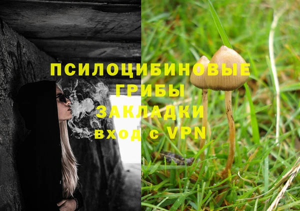 прущие крисы Алзамай
