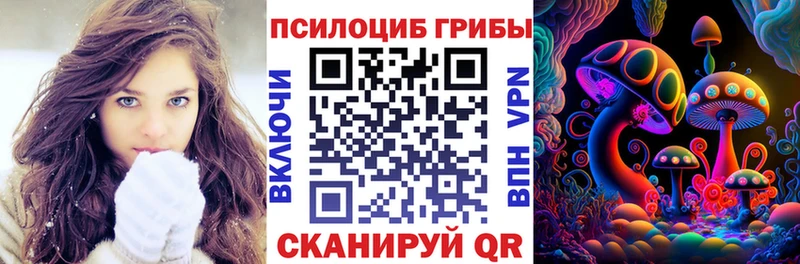 блэк спрут зеркало  Венёв  Галлюциногенные грибы MAGIC MUSHROOMS 